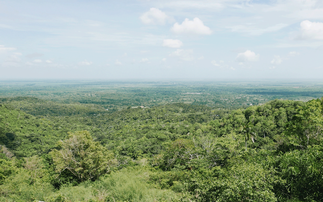 Terrenos a la venta en Yucatán: 5 cosas que debes considerar para invertir de manera inteligente