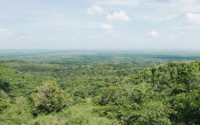 Terrenos a la venta en Yucatán: 5 cosas que debes considerar para invertir de manera inteligente