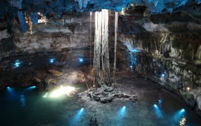 4 cenotes que debes visitar en Yucatán
