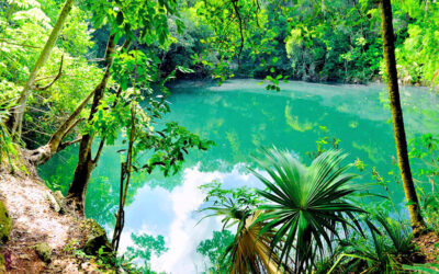 Invierte en un terreno de manera inteligente que luego puedas vender