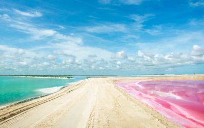 Terrenos ¿Cómo saber si son una buena inversión?